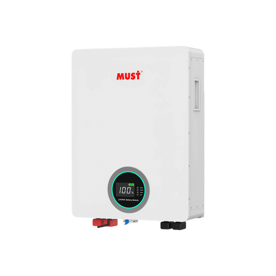 Batería de Litio Ferrofosfato / 100 Ah / 51.2 V / ≥6000 Ciclos / Comun