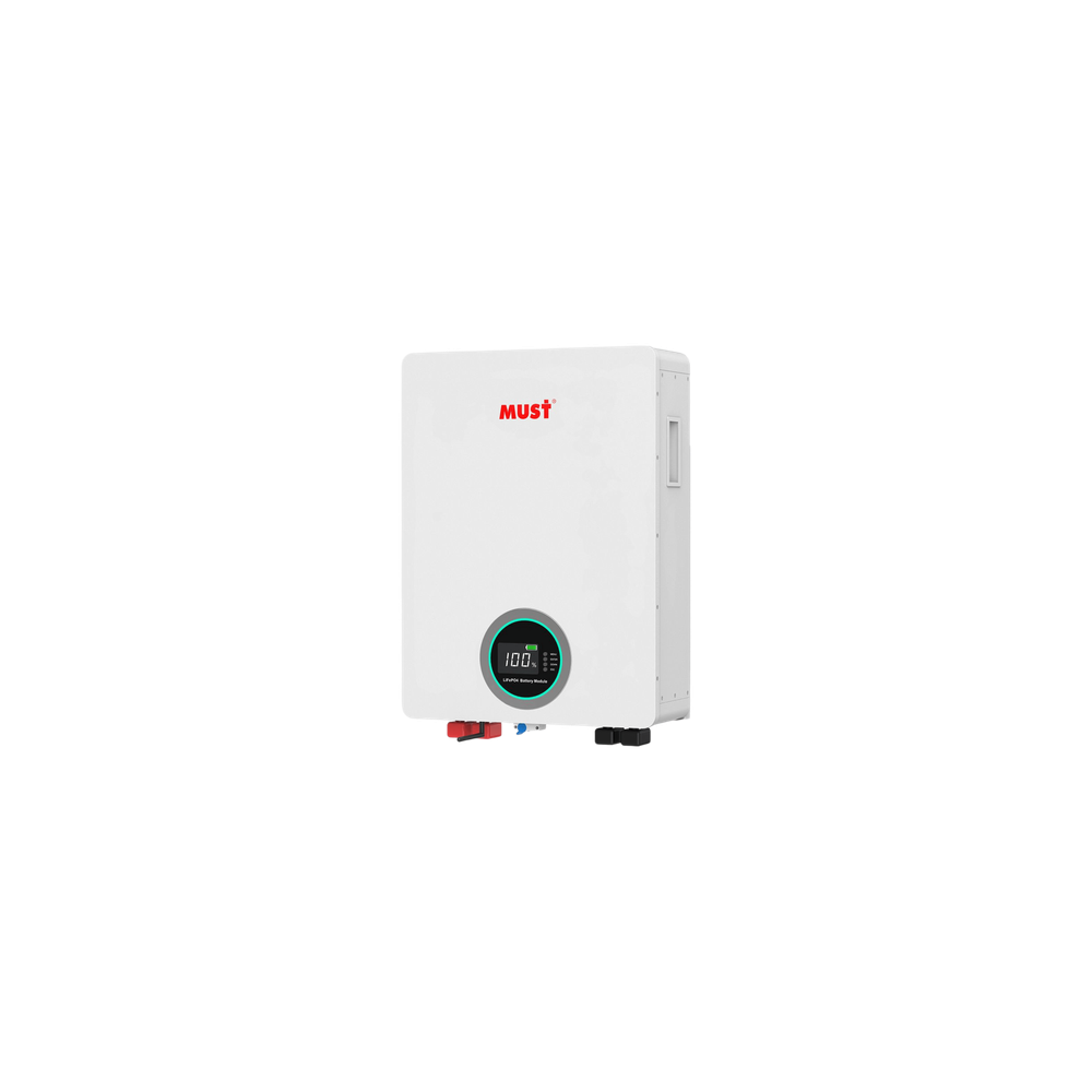 Batería de Litio Ferrofosfato / 100 Ah / 51.2 V / ≥6000 Ciclos / Comun