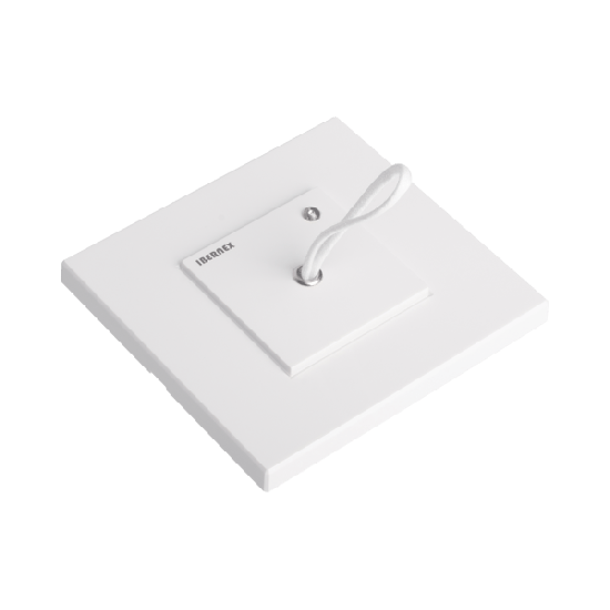 Modulo de Pared para Tirador de Baño para Hospital con LED Indicador /