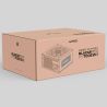 FUENTE DE PODER ACTECK BLAZAR EVO FT700EW ATX 700 W NO MODU