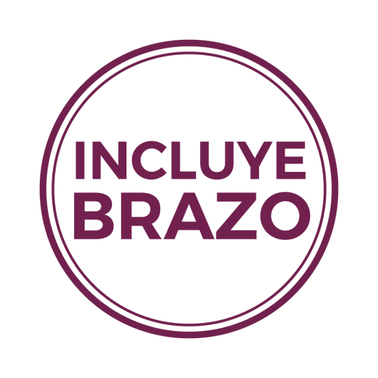 (NO Incluye Brazo) Barrera de USO INTENSIVO Compatible con Brazos Ilum